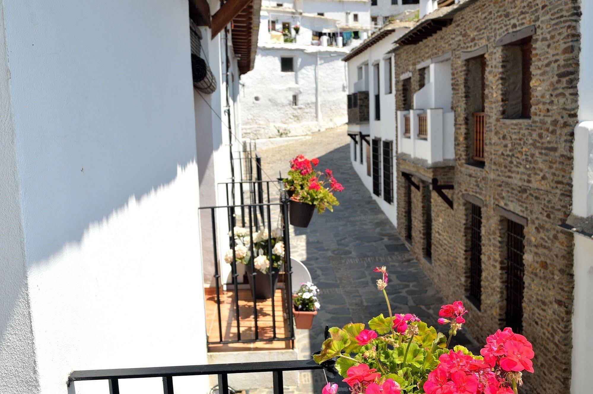 Hotel Rural Alfajia De Antonio Capileira Kültér fotó